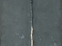 Spine dorsali