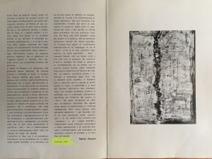 catalogocortile