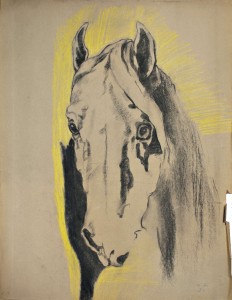 Cavallino